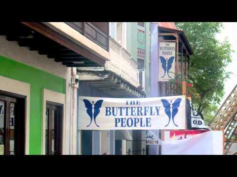 Carnival Cruise 2011