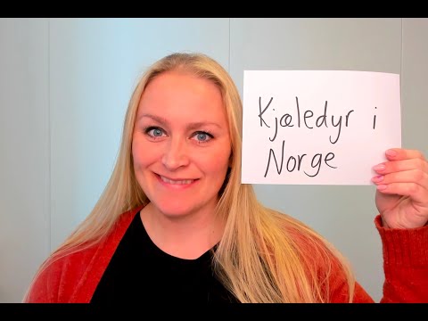Video 974 Kjæledyr i Norge
