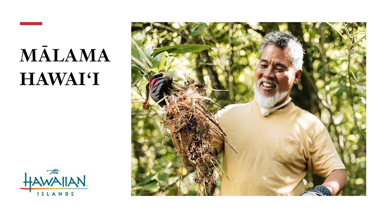 •	Mālama Hawai‘i: Sam Ohu Gon III on Reforestation 