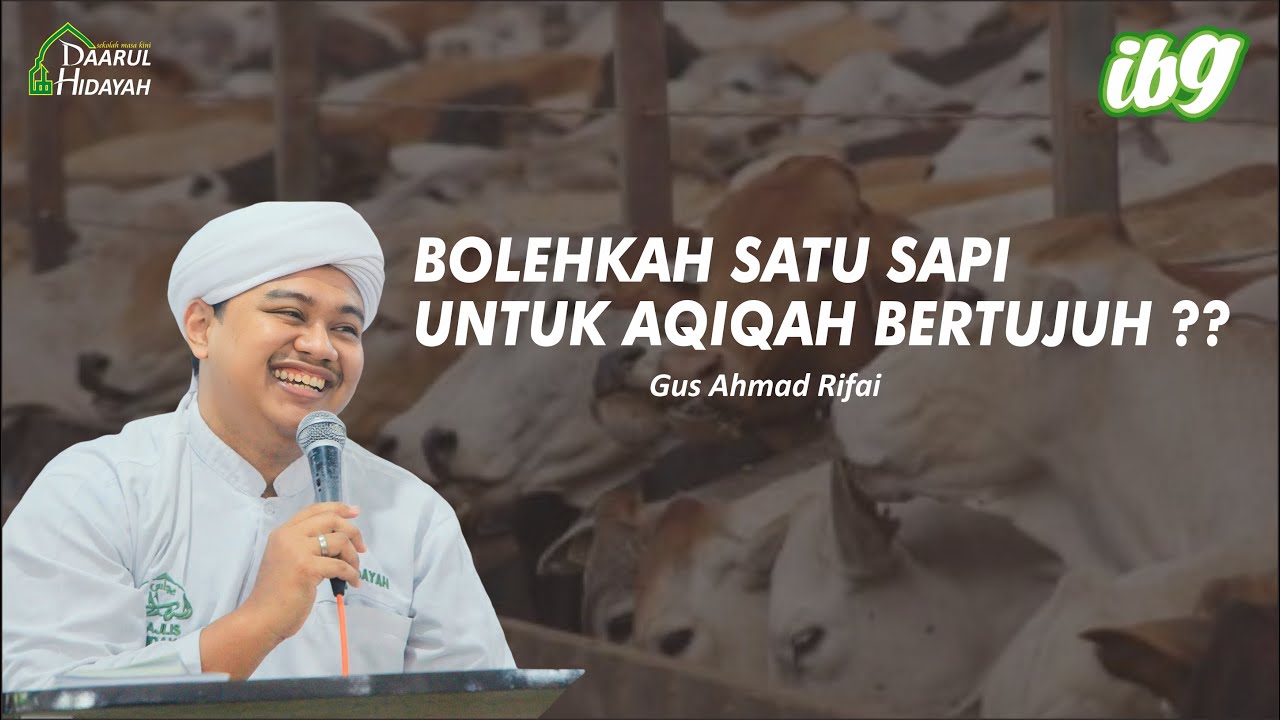 Bolehkah satu sapi untuk Aqiqah bertujuh?