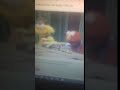 SS 1996 VHS