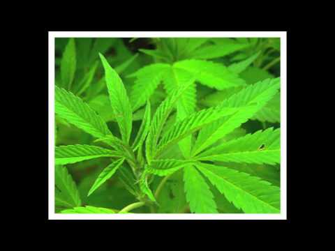 VERTTO -- GREEN FLOW