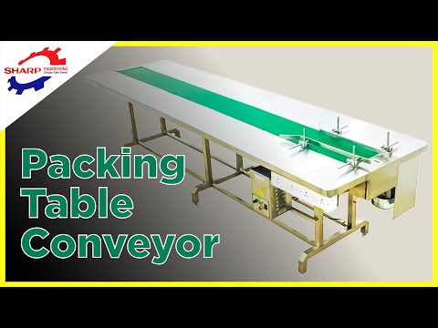 Packing Table Belt Conveyor