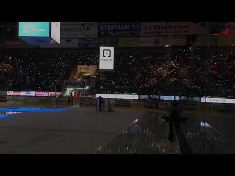 On fire... 🔥 by Cardinal