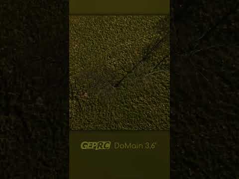 Fun with trees #flyingisthemostfun #fpv #fpvdrone