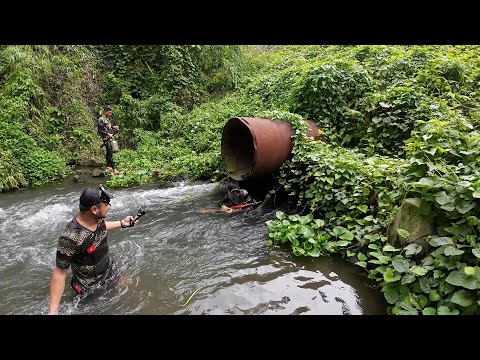 SE03EP195 - SOBRANG TALINO! SUMASABAY sa LABO sa ILALIM ng LUNGGA | San Pablo City, Laguna
