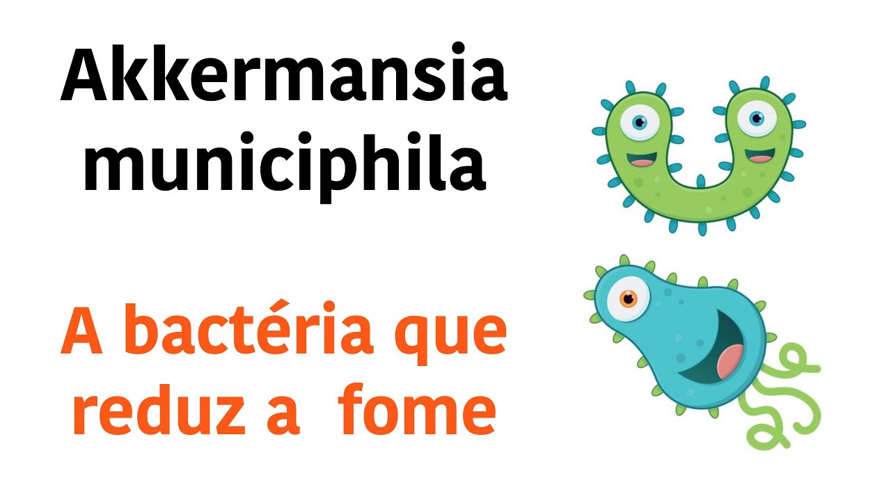 A bactéria amiga da boa forma e que ajuda a emagrecer e desinflamar