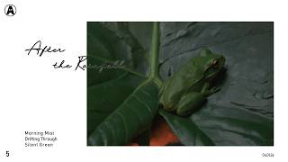 Download lagu 5. After the Rainfall mp3