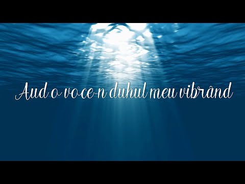 Gabi Ilut - Vocea Domnului