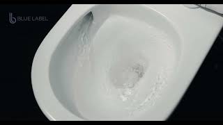Blue Label Foss hangtoilet Spinflush randloos 53cm met zitting SC & QR - glans wit