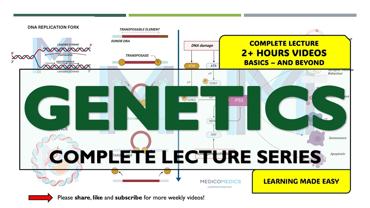 Genetics Full Course | 13 High-Yield Chapters