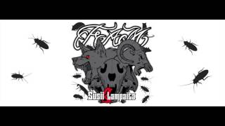 FLOWBOYSFAM - Susii &amp; Lampaita (Exclusive)