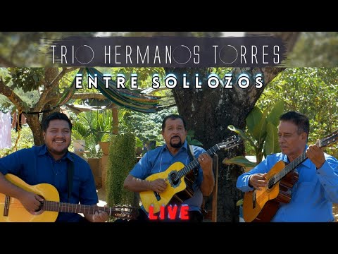Trio Hermanos Torres - Entre Sollozos (Live)