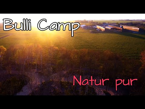 Das Bulli-Camp am Bauernhof am Wattenmeer / Filmkönig