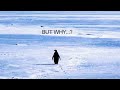 VIRAL PENGUIN STORY EXPLAINED FULL VIDEO Viral Penguin Video Explained