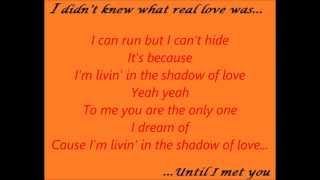 Shadow of Love - Céline Dion