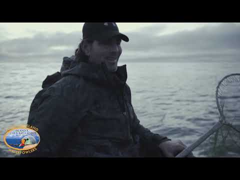 King Eider Hunting To Kill a King Eider  "Benelli  SB#3" Tony Vandrmore hunts Alaska