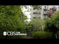 Community Gardens Decorate New York City S Urban Landscape