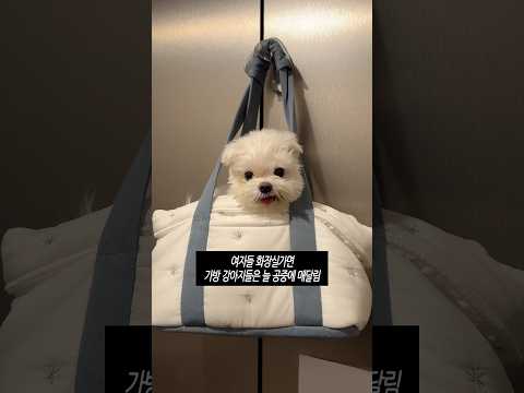 공중화장실