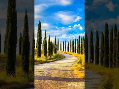 Cino black ft zepekeno_ noir et blanc