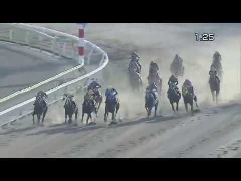 2020.03.18 Keihin Hai (JPN) - Bravoure