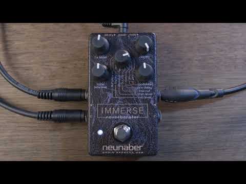 Neunaber Audio Immerse Reverberator - Black image 5