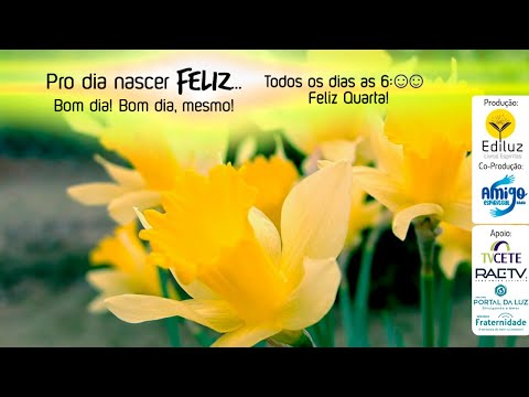 Pro dia nascer Feliz... Bom dia! Bom dia, mesmo! #362