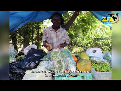 Ras Sankofa of Gideon Force Organic Farm Talks About Agriculture as a Vehicle for Community Tourism