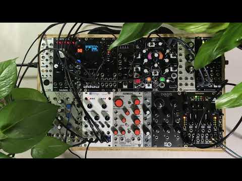 Generative Modular Ambient - (Rings/Morphagene/Monsoon/Typhoon)