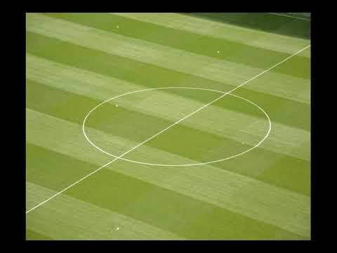 Enzo Fernández Chelsea