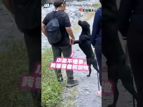 【暖心狗老大】登山遇浪浪狂吠不敢過！小黑出面安撫人類讓通過...回頭秒管教小弟XD #shorts