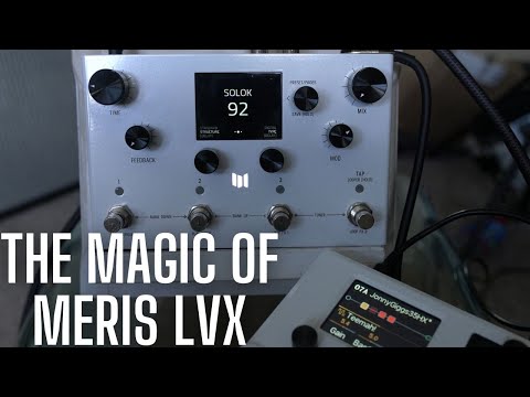 Revisiting the MAGIC of the MERIS LVX