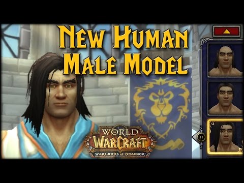 [Warlords] New Male Human Model (Character Customization)