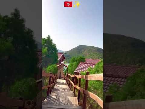 Dar Selma Bouargoub - Tunisia