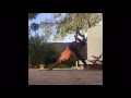 Yoga Everywhere Algarve Portugal