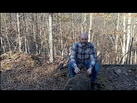 The Benefits Of Being A Hermit