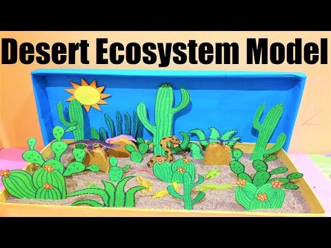 Animal Cell Model 3D model making using cardboard and paper howtofunda still model