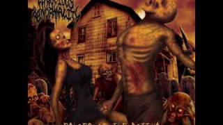 Atrocious Abnormality - The Birth Of Violence