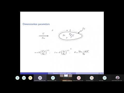 2022 03 07 Seminar by Mark Blyth (UEA)  "Towards a model of a deformable aerofoil"