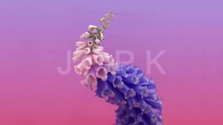 Flume   When Everything Was New (Hideaway Pines X JPPK Remix)
