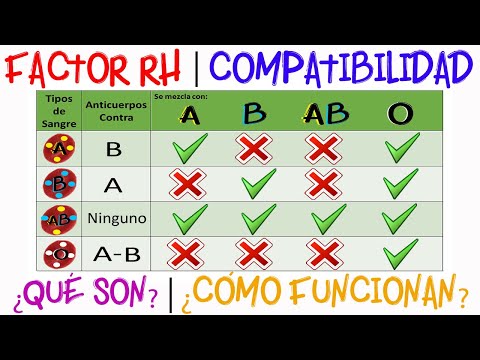 💉Blood Types | Compatibility | Rh Factor |