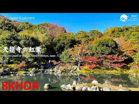 天龍寺の紅葉 Autumn Leaves of Tenryuji [8KHDR]