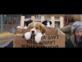 A Dog’s Purpose | Trailer | Own it now on Blu-ray, DVD & Digital