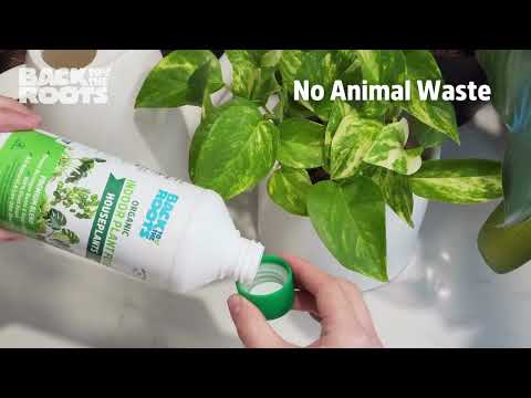Explore Back to the Roots Organic, Indoor Plant Food — grow stronger roots & bigger plants!