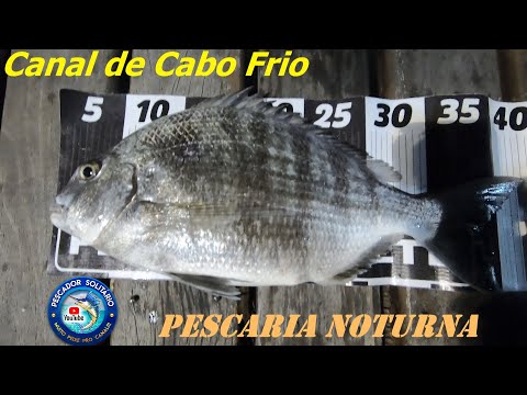 PESCARIA NOTURNA no CANAL de CABO FRIO 04/11/2020 - Robalos, Canhanha e Ubaranas!!!