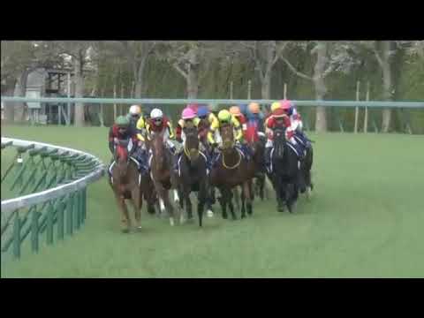 2018.04.08 Oka Sho (Japanese 1000 Guineas) - Almond Eye