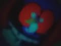 Klaskyklaskyklaskyklasky Gummy Bear In G Major 11 5 6