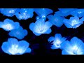 Summer Walker Cpr Slowed Reverb