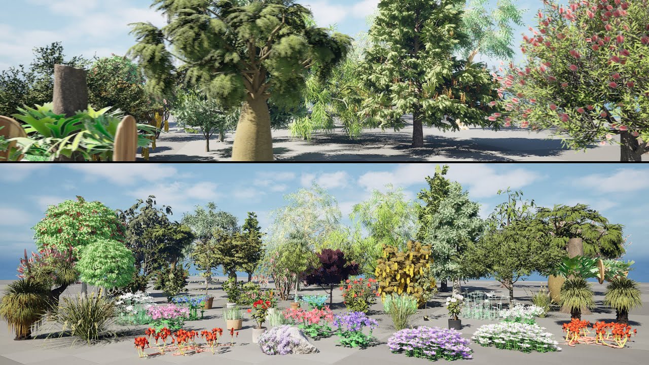 Cole&ccedil;&atilde;o de plantas australianas, &aacute;rvores, flores Modelo 3D
