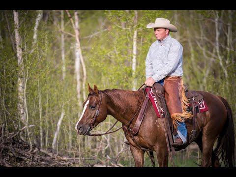 Equine Affaire Interview - Ken McNabb
